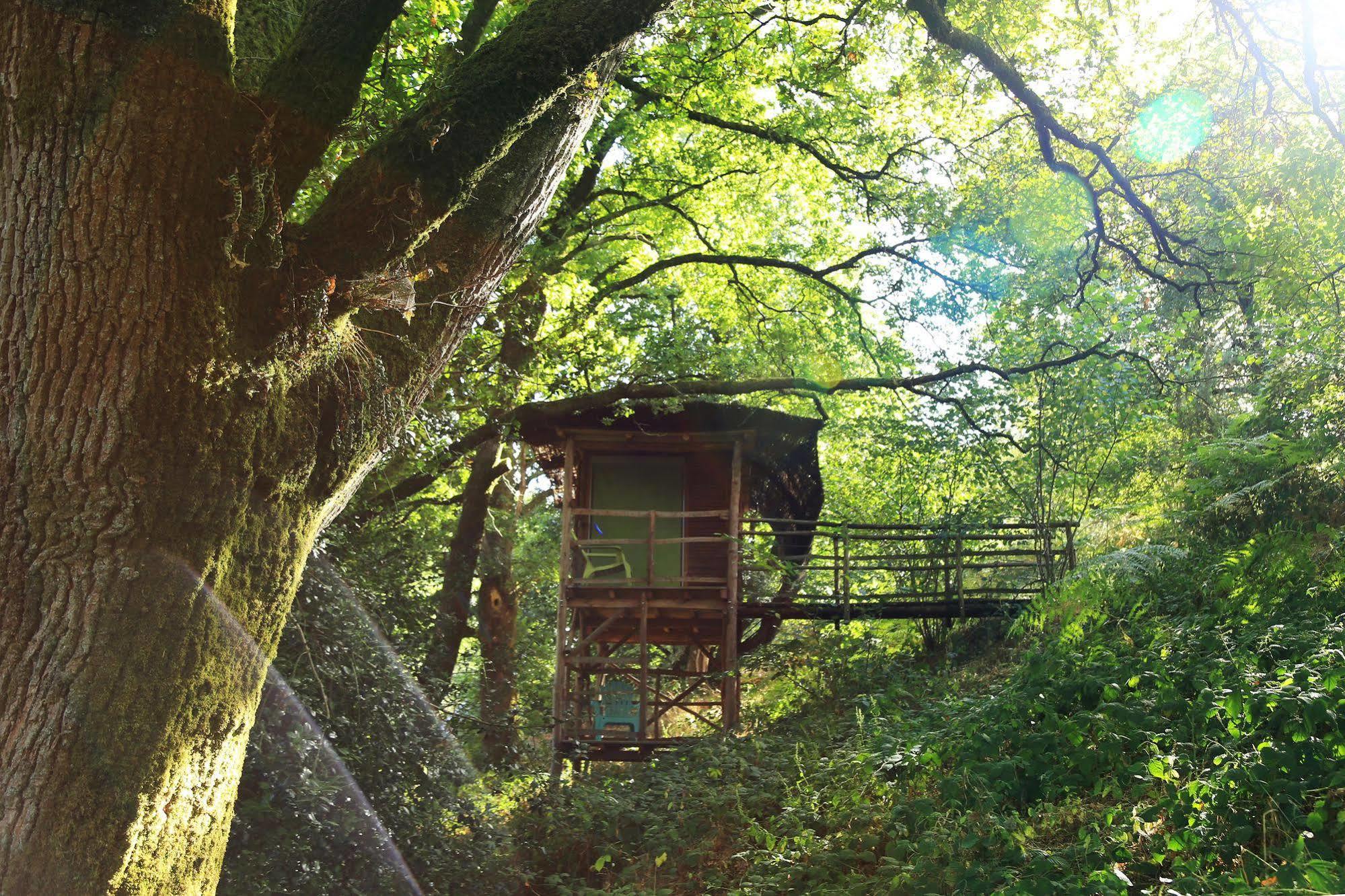 Terragora Lodges - Hebergement Atypique Les Épesses Zewnętrze zdjęcie